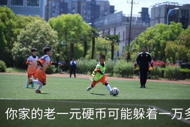 你家的老一元硬币可能躲着一万多的宝藏哦！